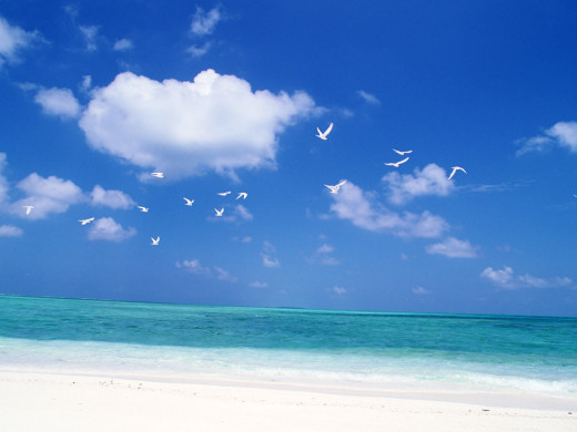 41731 (a): :1600x1200